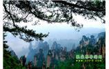 【純玩獨(dú)立成團(tuán)線路1】張家界、袁家界、天子山、寶峰湖/黃龍洞二晚三日