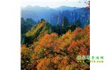 長沙往返張家界、天子山、寶峰湖/黃龍洞三日游