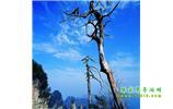 湘西之旅：張家界、天子山、寶峰湖/黃龍洞、鳳凰古城、猛洞河漂流、天門山六日游