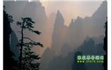 張家界國(guó)家森林公園、寶峰湖/黃龍洞、鳳凰古城、三峽八日游