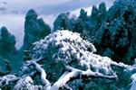 【純玩拼團線路18】下午班：鳳凰古城、張家界、天子山三晚四日游