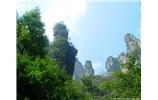 【純玩拼團(tuán)線路 張家界出發(fā)A2線】張家界、袁家界、天子山、金鞭溪、鳳凰古城2晚3日游